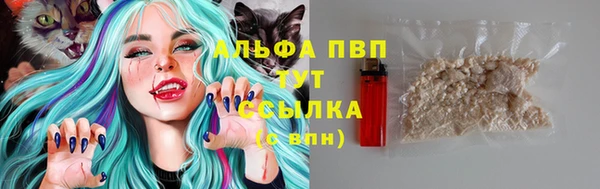 гидра Алексеевка