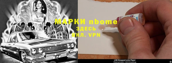 прущие грибы Алзамай