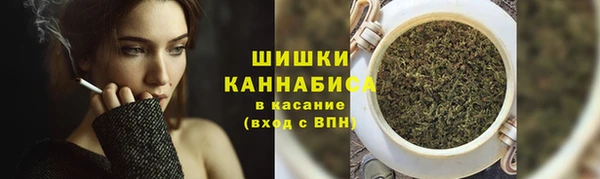 прущие грибы Алзамай