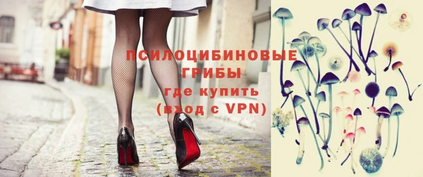 прущие грибы Алзамай