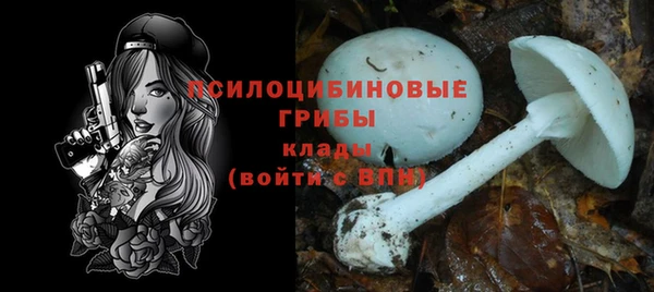 прущие грибы Алзамай