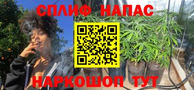 прущие грибы Рузаевка