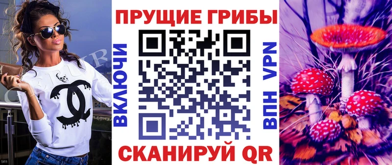 Галлюциногенные грибы Magic Shrooms  купить   ОМГ ОМГ tor  Саранск 