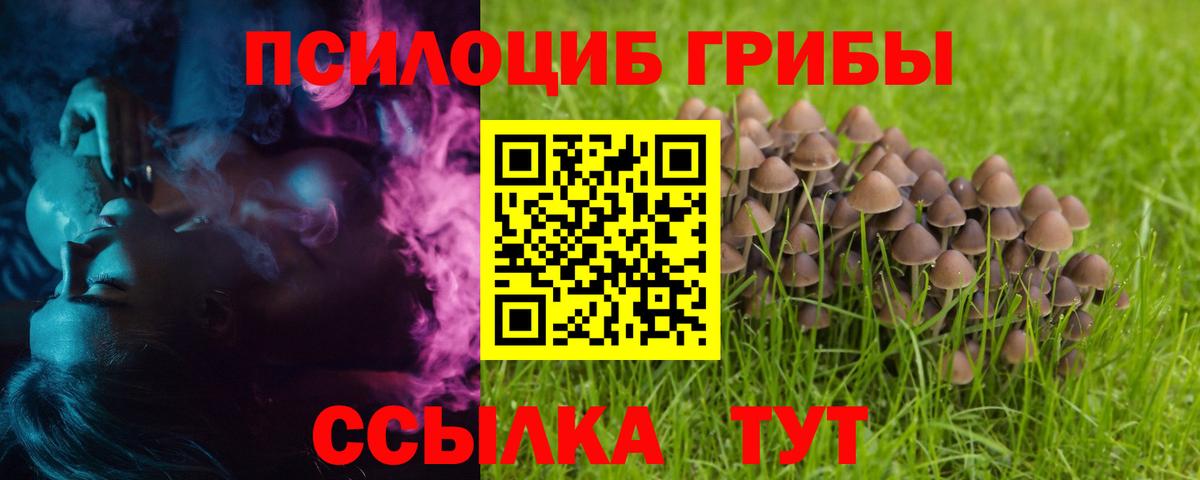 Псилоцибиновые грибы MAGIC MUSHROOMS Саранск